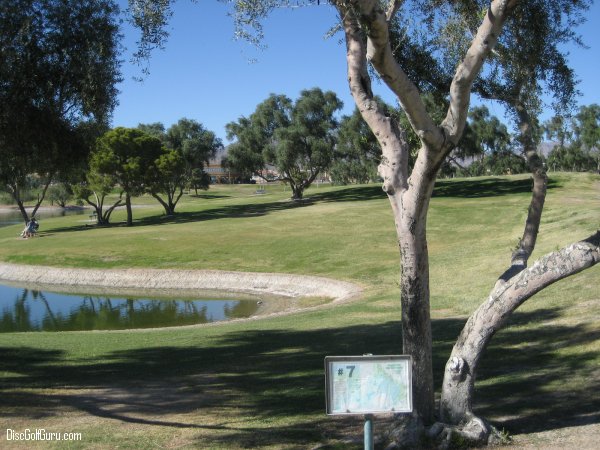 Fountain Hills Disc Golf Course Hole 7